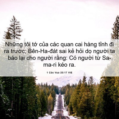 Picture 06 - 1 Các Vua 20:17 VIE - Những tôi tớ của các quan cai hàng - Bible Verse Picture