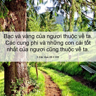 Picture 06 - 1 Các Vua 20:3 VIE - Bạc và vàng của ngươi thuộc về ta. - Bible Verse Picture