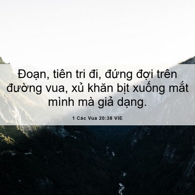 Picture 06 - 1 Các Vua 20:38 VIE - Đoạn, tiên tri đi, đứng đợi trên - Bible Verse Picture