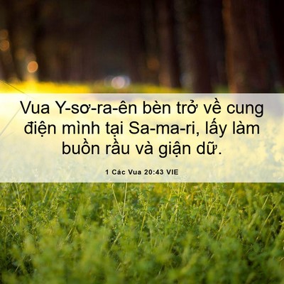 Picture 06 - 1 Các Vua 20:43 VIE - Vua Y-sơ-ra-ên bèn trở về cung điện - Bible Verse Picture