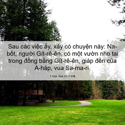 Picture 06 - 1 Các Vua 21:1 VIE - Sau các việc ấy, xảy có chuyện này: - Bible Verse Picture