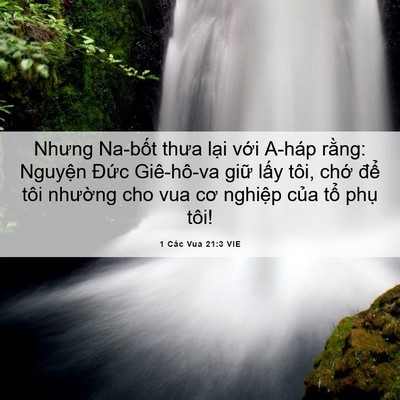 Picture 06 - 1 Các Vua 21:3 VIE - Nhưng Na-bốt thưa lại với A-háp rằng: - Bible Verse Picture