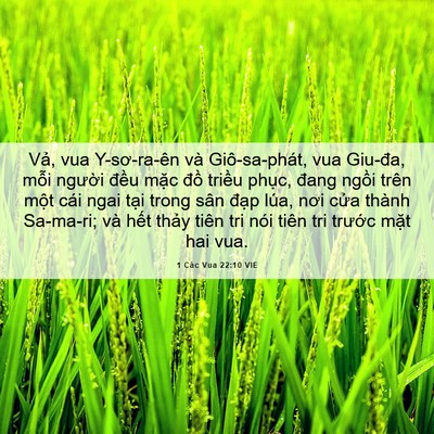 Picture 06 - 1 Các Vua 22:10 VIE - Vả, vua Y-sơ-ra-ên và Giô-sa-phát, vua - Bible Verse Picture