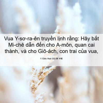 Picture 06 - 1 Các Vua 22:26 VIE - Vua Y-sơ-ra-ên truyền lịnh rằng: Hãy - Bible Verse Picture