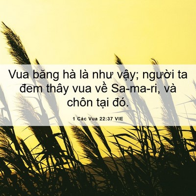 Picture 06 - 1 Các Vua 22:37 VIE - Vua băng hà là như vậy; người ta đem - Bible Verse Picture