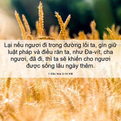 Picture 06 - 1 Các Vua 3:14 VIE - Lại nếu ngươi đi trong đường lối ta, - Bible Verse Picture