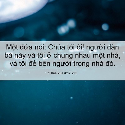 Picture 06 - 1 Các Vua 3:17 VIE - Một đứa nói: Chúa tôi ôi! người đàn - Bible Verse Picture