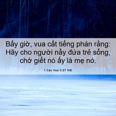 Picture 06 - 1 Các Vua 3:27 VIE - Bấy giờ, vua cất tiếng phán rằng: Hãy - Bible Verse Picture