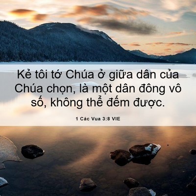 Picture 06 - 1 Các Vua 3:8 VIE - Kẻ tôi tớ Chúa ở giữa dân của Chúa - Bible Verse Picture