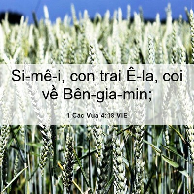 Picture 06 - 1 Các Vua 4:18 VIE - Si-mê-i, con trai Ê-la, coi về - Bible Verse Picture