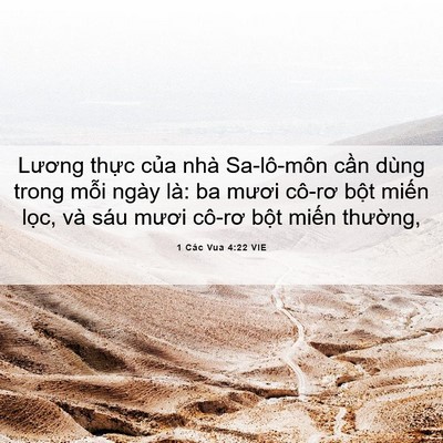 Picture 06 - 1 Các Vua 4:22 VIE - Lương thực của nhà Sa-lô-môn cần dùng - Bible Verse Picture