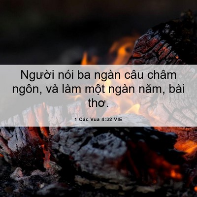 Picture 06 - 1 Các Vua 4:32 VIE - Người nói ba ngàn câu châm ngôn, và làm - Bible Verse Picture