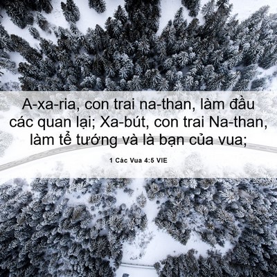 Picture 06 - 1 Các Vua 4:5 VIE - A-xa-ria, con trai na-than, làm đầu các quan - Bible Verse Picture