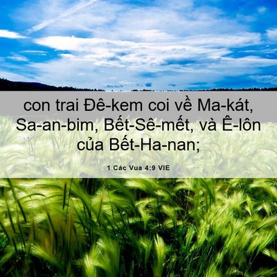 Picture 06 - 1 Các Vua 4:9 VIE - con trai Đê-kem coi về Ma-kát, Sa-an-bim, - Bible Verse Picture