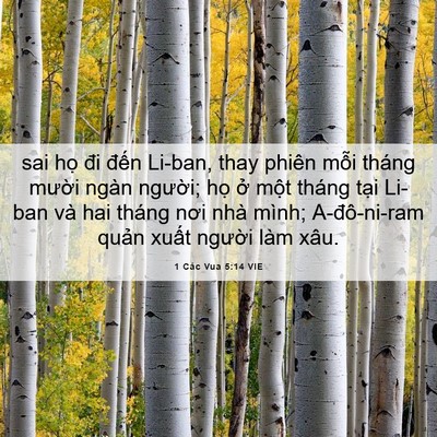 Picture 06 - 1 Các Vua 5:14 VIE - sai họ đi đến Li-ban, thay phiên mỗi - Bible Verse Picture
