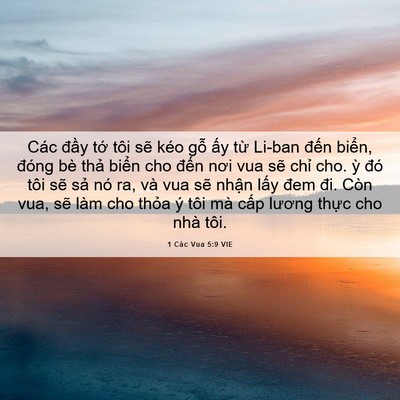 Picture 06 - 1 Các Vua 5:9 VIE - Các đầy tớ tôi sẽ kéo gỗ ấy từ - Bible Verse Picture