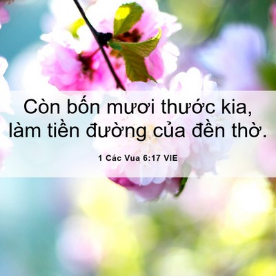 Picture 06 - 1 Các Vua 6:17 VIE - Còn bốn mươi thước kia, làm tiền - Bible Verse Picture