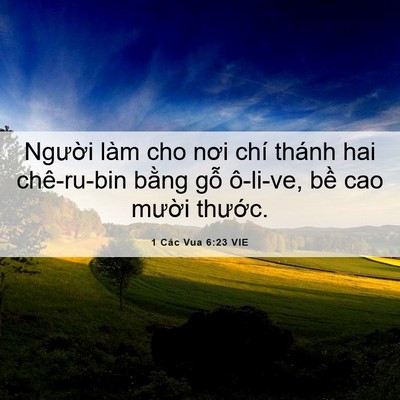 Picture 06 - 1 Các Vua 6:23 VIE - Người làm cho nơi chí thánh hai - Bible Verse Picture