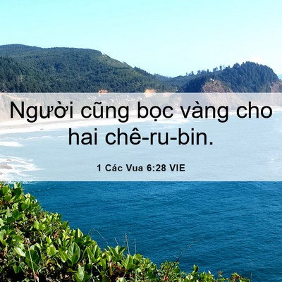 Picture 06 - 1 Các Vua 6:28 VIE - Người cũng bọc vàng cho hai - Bible Verse Picture
