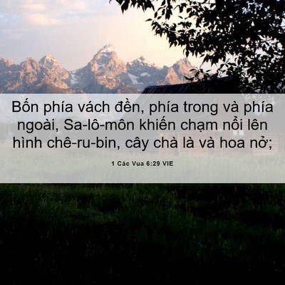 Picture 06 - 1 Các Vua 6:29 VIE - Bốn phía vách đền, phía trong và phía - Bible Verse Picture