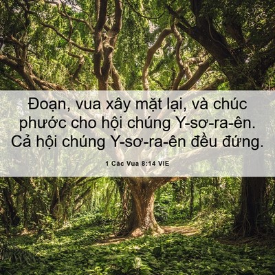 Picture 06 - 1 Các Vua 8:14 VIE - Đoạn, vua xây mặt lại, và chúc phước - Bible Verse Picture