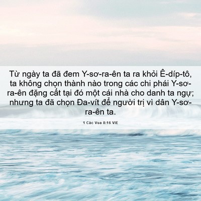 Picture 06 - 1 Các Vua 8:16 VIE - Từ ngày ta đã đem Y-sơ-ra-ên ta ra khỏi - Bible Verse Picture