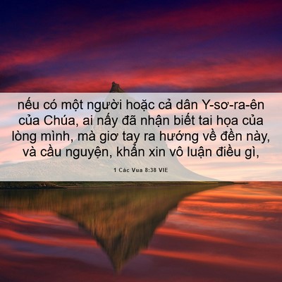 Picture 06 - 1 Các Vua 8:38 VIE - nếu có một người hoặc cả dân - Bible Verse Picture