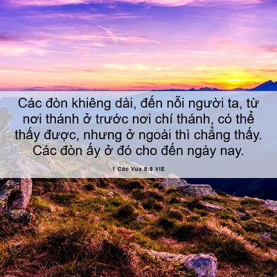 Picture 06 - 1 Các Vua 8:8 VIE - Các đòn khiêng dài, đến nỗi người - Bible Verse Picture