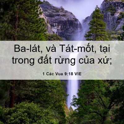 Picture 06 - 1 Các Vua 9:18 VIE - Ba-lát, và Tát-mốt, tại trong đất - Bible Verse Picture