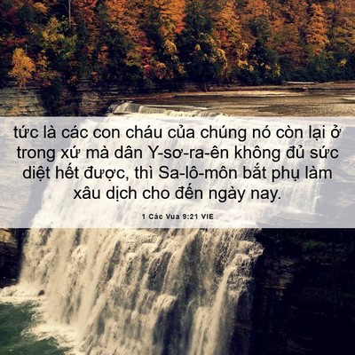 Picture 06 - 1 Các Vua 9:21 VIE - tức là các con cháu của chúng nó còn - Bible Verse Picture