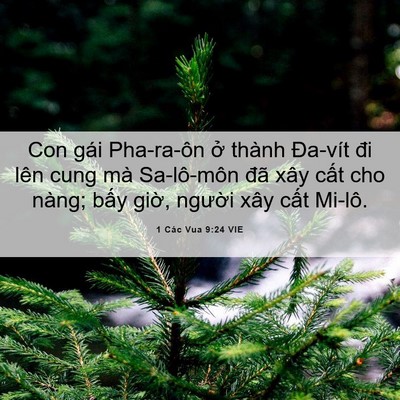 Picture 06 - 1 Các Vua 9:24 VIE - Con gái Pha-ra-ôn ở thành Đa-vít đi lên - Bible Verse Picture