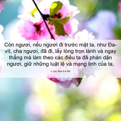 Picture 06 - 1 Các Vua 9:4 VIE - Còn ngươi, nếu ngươi đi trước mặt - Bible Verse Picture