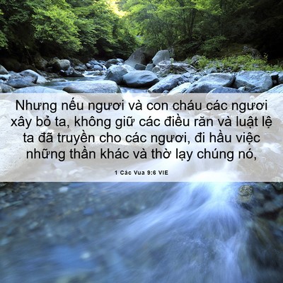 Picture 06 - 1 Các Vua 9:6 VIE - Nhưng nếu ngươi và con cháu các ngươi - Bible Verse Picture
