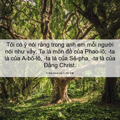 Picture 06 - 1 Cô-rinh-tô 1:12 VIE - Tôi có ý nói rằng trong anh em mỗi - Bible Verse Picture