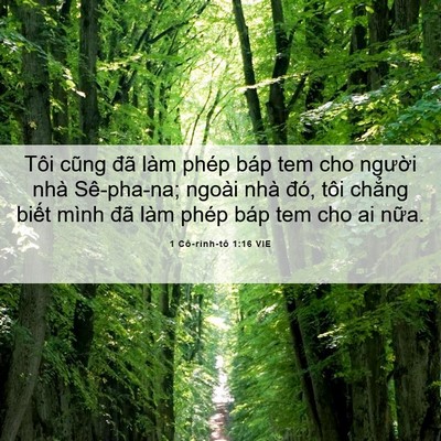 Picture 06 - 1 Cô-rinh-tô 1:16 VIE - Tôi cũng đã làm phép báp tem cho người - Bible Verse Picture