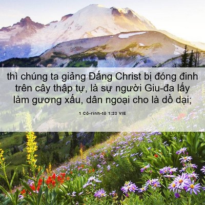 Picture 06 - 1 Cô-rinh-tô 1:23 VIE - thì chúng ta giảng Đấng Christ bị đóng - Bible Verse Picture