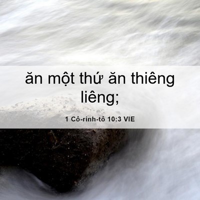 Picture 06 - 1 Cô-rinh-tô 10:3 VIE - ăn một thứ ăn thiêng - Bible Verse Picture