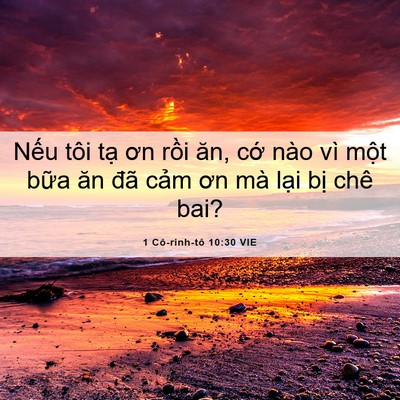 Picture 06 - 1 Cô-rinh-tô 10:30 VIE - Nếu tôi tạ ơn rồi ăn, cớ nào vì - Bible Verse Picture