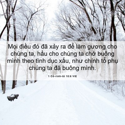 Picture 06 - 1 Cô-rinh-tô 10:6 VIE - Mọi điều đó đã xảy ra để làm - Bible Verse Picture