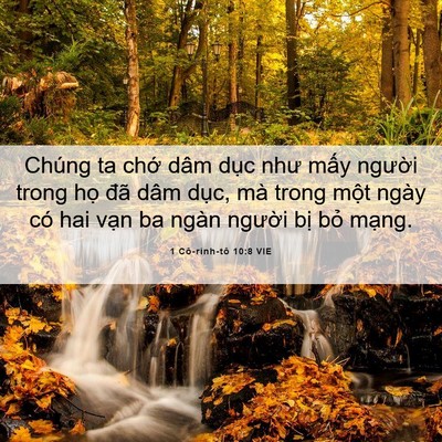 Picture 06 - 1 Cô-rinh-tô 10:8 VIE - Chúng ta chớ dâm dục như mấy người - Bible Verse Picture