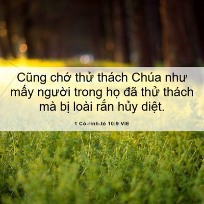Picture 06 - 1 Cô-rinh-tô 10:9 VIE - Cũng chớ thử thách Chúa như mấy - Bible Verse Picture