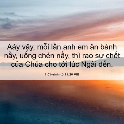Picture 06 - 1 Cô-rinh-tô 11:26 VIE - Aáy vậy, mỗi lần anh em ăn bánh nầy, - Bible Verse Picture