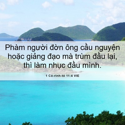 Picture 06 - 1 Cô-rinh-tô 11:4 VIE - Phàm người đờn ông cầu nguyện hoặc - Bible Verse Picture