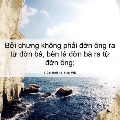 Picture 06 - 1 Cô-rinh-tô 11:8 VIE - Bởi chưng không phải đờn ông ra từ - Bible Verse Picture
