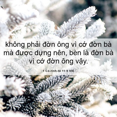 Picture 06 - 1 Cô-rinh-tô 11:9 VIE - không phải đờn ông vì cớ đờn bà mà - Bible Verse Picture