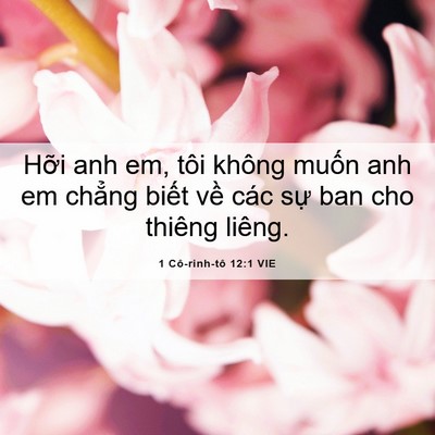 Picture 06 - 1 Cô-rinh-tô 12:1 VIE - Hỡi anh em, tôi không muốn anh em chẳng - Bible Verse Picture