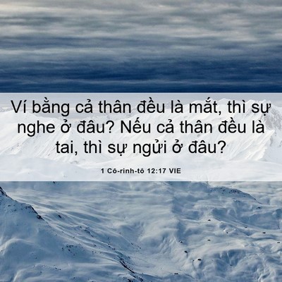 Picture 06 - 1 Cô-rinh-tô 12:17 VIE - Ví bằng cả thân đều là mắt, thì sự - Bible Verse Picture