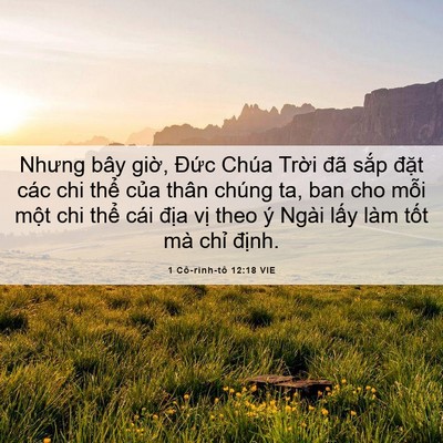 Picture 06 - 1 Cô-rinh-tô 12:18 VIE - Nhưng bây giờ, Đức Chúa Trời đã sắp - Bible Verse Picture