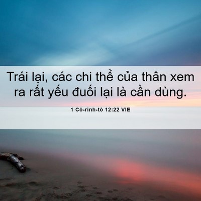 Picture 06 - 1 Cô-rinh-tô 12:22 VIE - Trái lại, các chi thể của thân xem ra - Bible Verse Picture