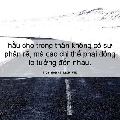 Picture 06 - 1 Cô-rinh-tô 12:25 VIE - hầu cho trong thân không có sự phân rẽ, - Bible Verse Picture